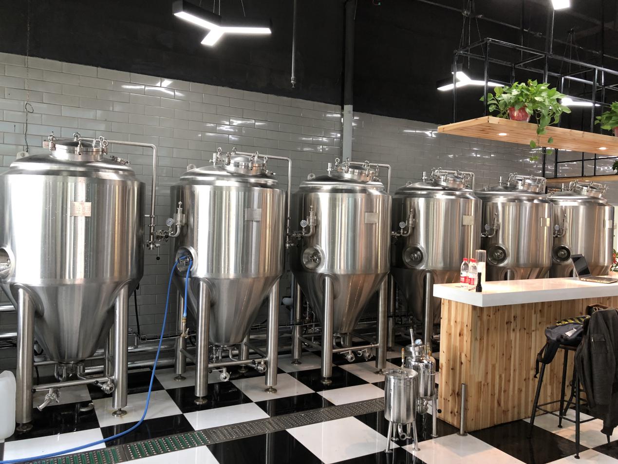 WEMAC made 500L beer equipment fermentader unitank homebrew fermentation tank